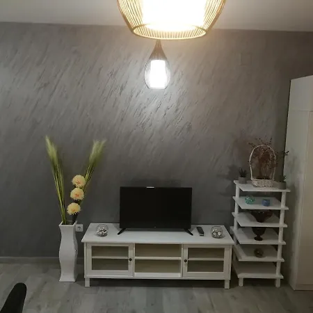 Danica Sremska Mitrovica