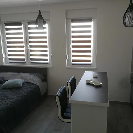 Danica Sremska Mitrovica