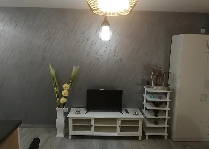 Danica Σρέμσκα Μιτρόβιτσα