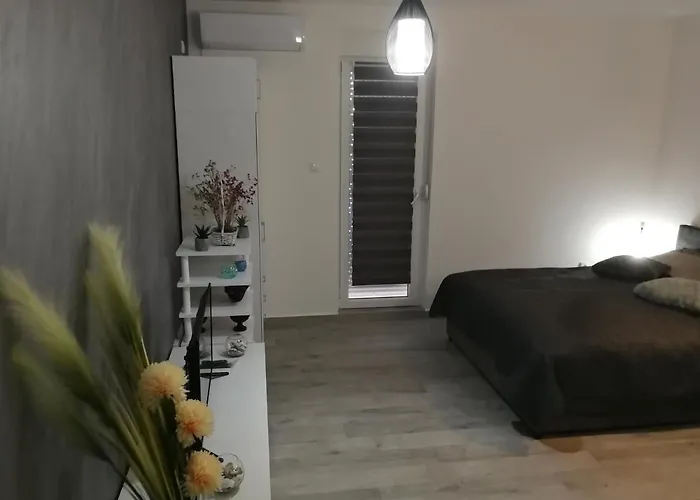 Danica Διαμέρισμα Σρέμσκα Μιτρόβιτσα