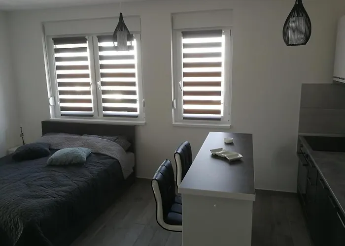 Danica Σρέμσκα Μιτρόβιτσα